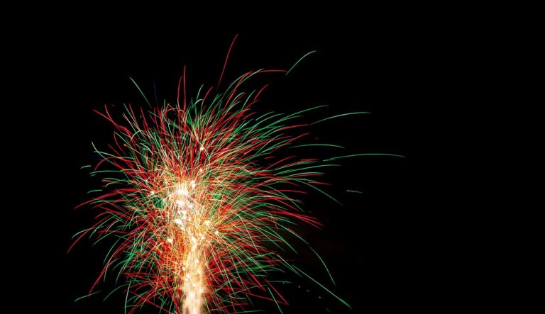 Reddybook: Revolutionizing Digital Publishing and Seamless Integration with 11xPlay